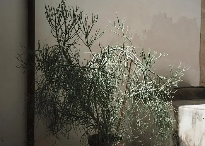 Le Piccolo, Ortigia Apartment