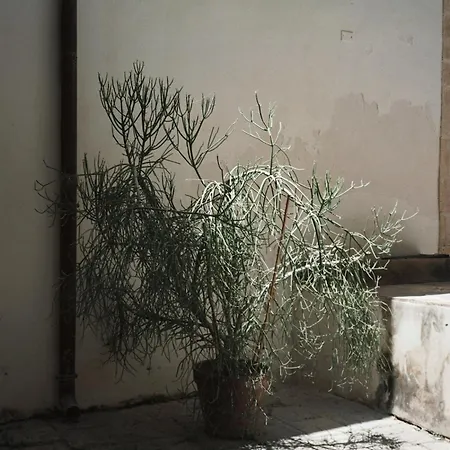 Le Piccolo, Ortigia 아파트